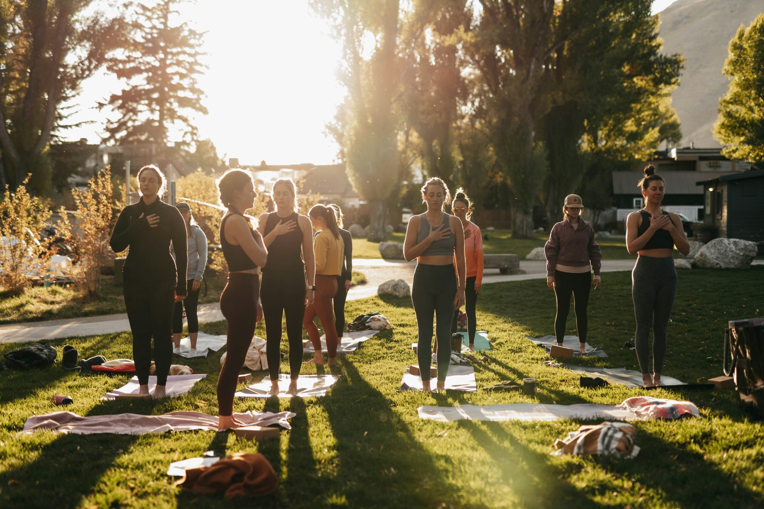 People meditating in the morning in a beautiful park